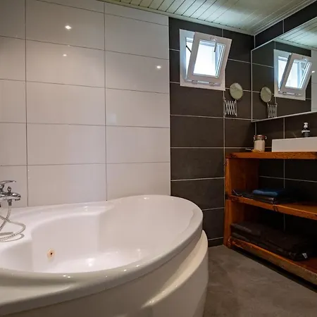 Holiday home Boshuisje Hattemerbroek